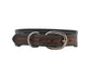 Floral Turquoise Buckstitch Hand-Tooled Leather Dog Collar